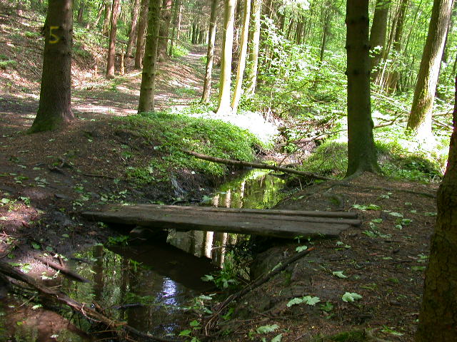 Uscita domenicale...